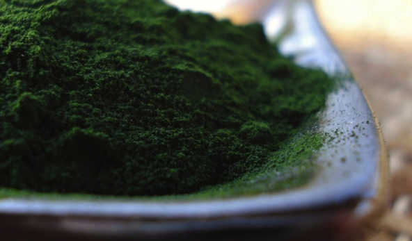 TOP 10 BENEFITS OF SPIRULINA